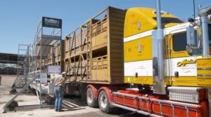 Feasibility Study for Crate PAL Proves Successful