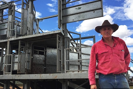 Alice Springs Saleyards