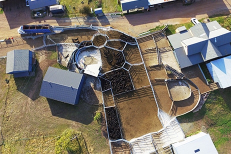 Landfall Angus