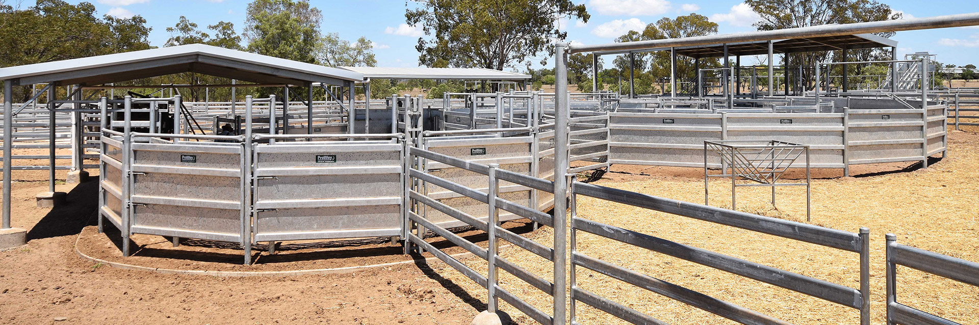 Temperate Breed Cattle Yard Features – Proway