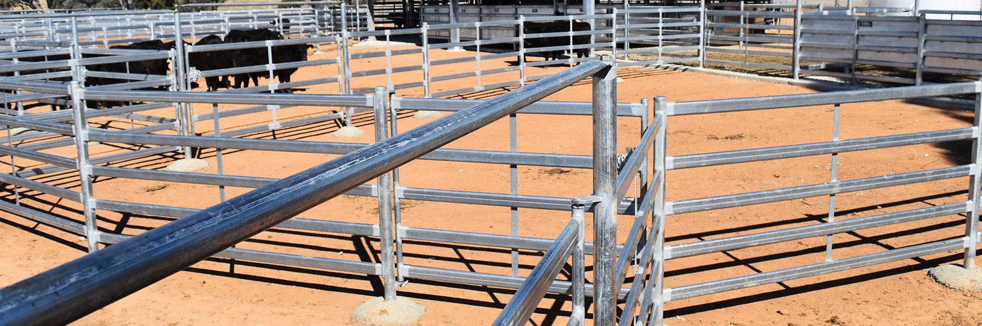 Temperate Breed Cattle Yard Features ProWay