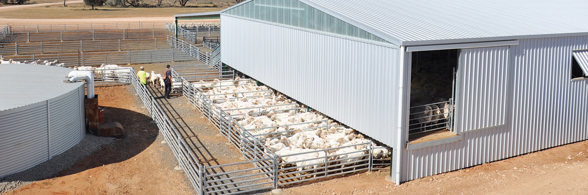 Wool Sheds | Sheering Shed Designs & Features | ProWay