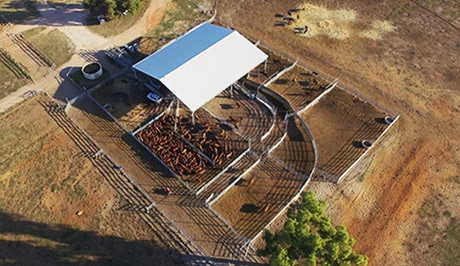ProWay Cattle Yards, Glencoe, Western Australia