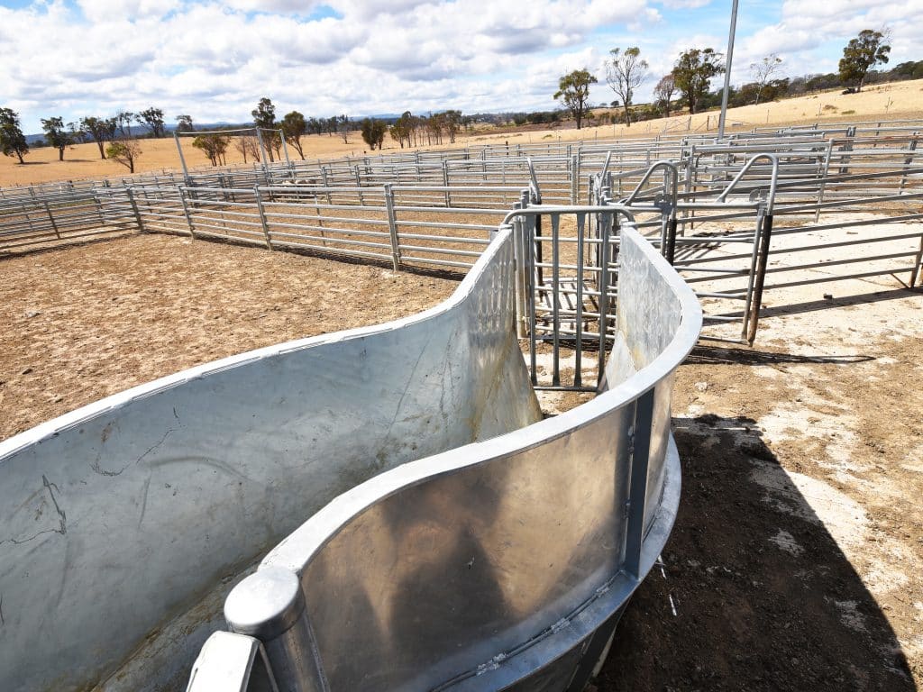 Serpentine Draft Race - ProWay