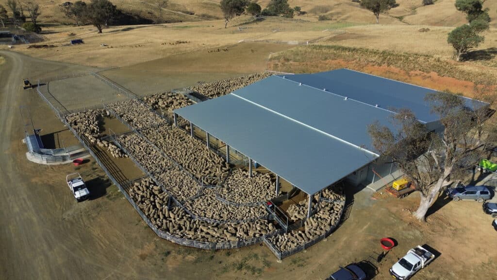 Lane Delivery Shearing Shed