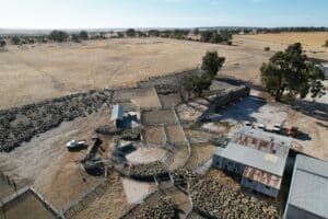 ProWay designed sheep yards in Western Australia 