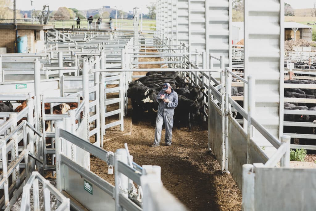 Moss vale srlx overflow pens