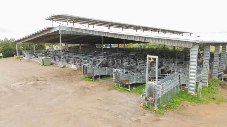 Moss Vale Sale Yard Upgrades