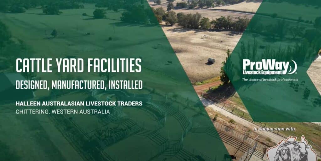 Cattle Yards in Chittering WA