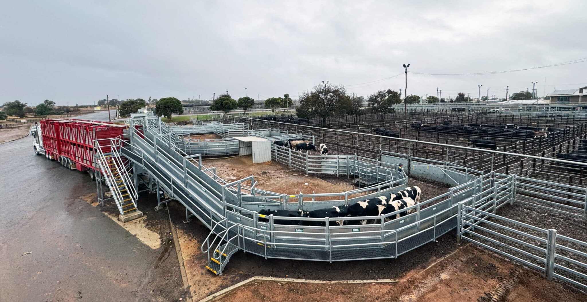 Proway Ramp Wagga Saleyards Ramp Up with Major Infrastructure Upgrade - ProWay
