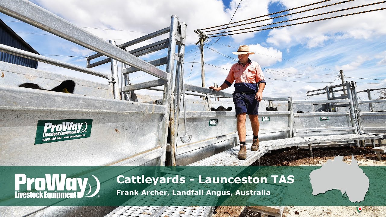 ProWay Cattleyards - Landfall Angus