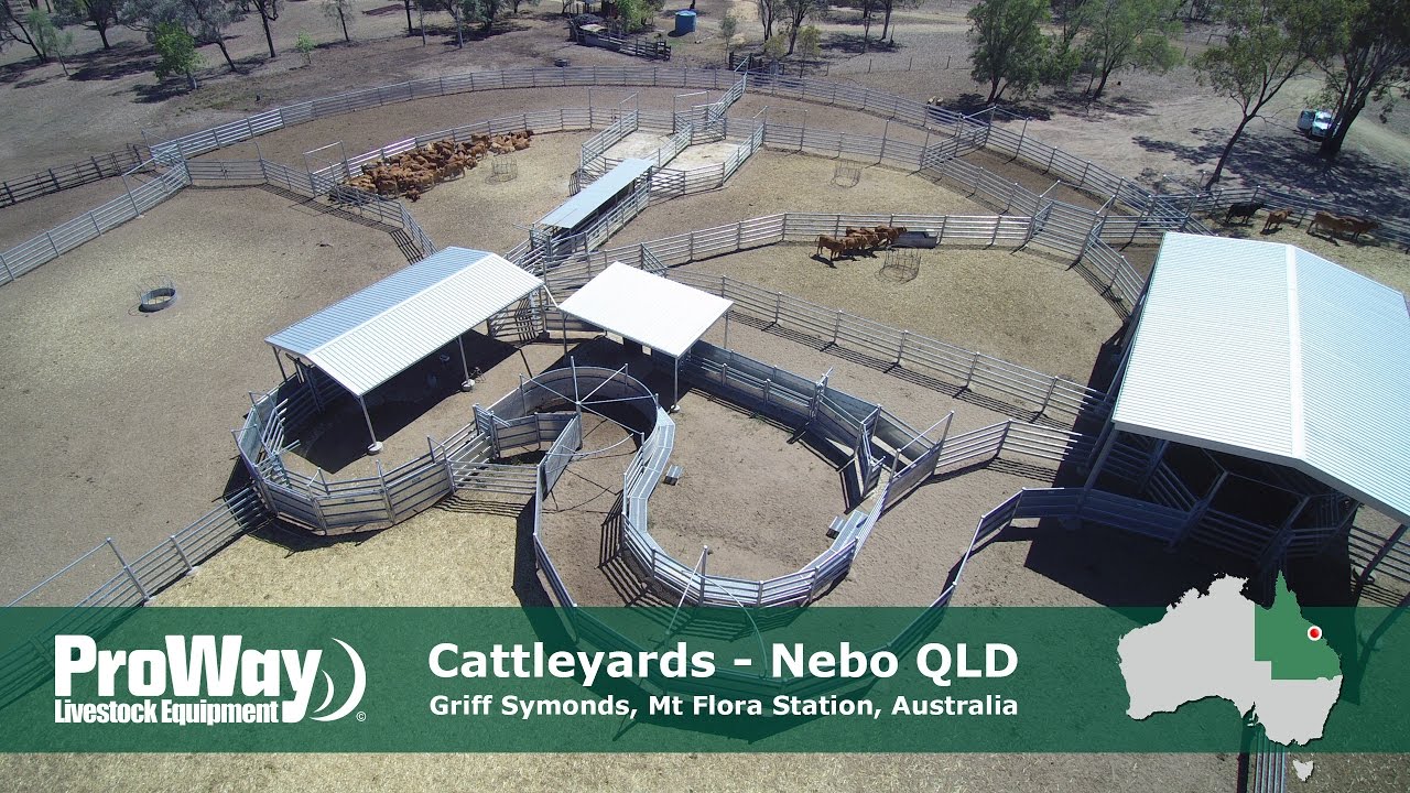 ProWay Cattleyards - Mt Flora Station, Nebo QLD