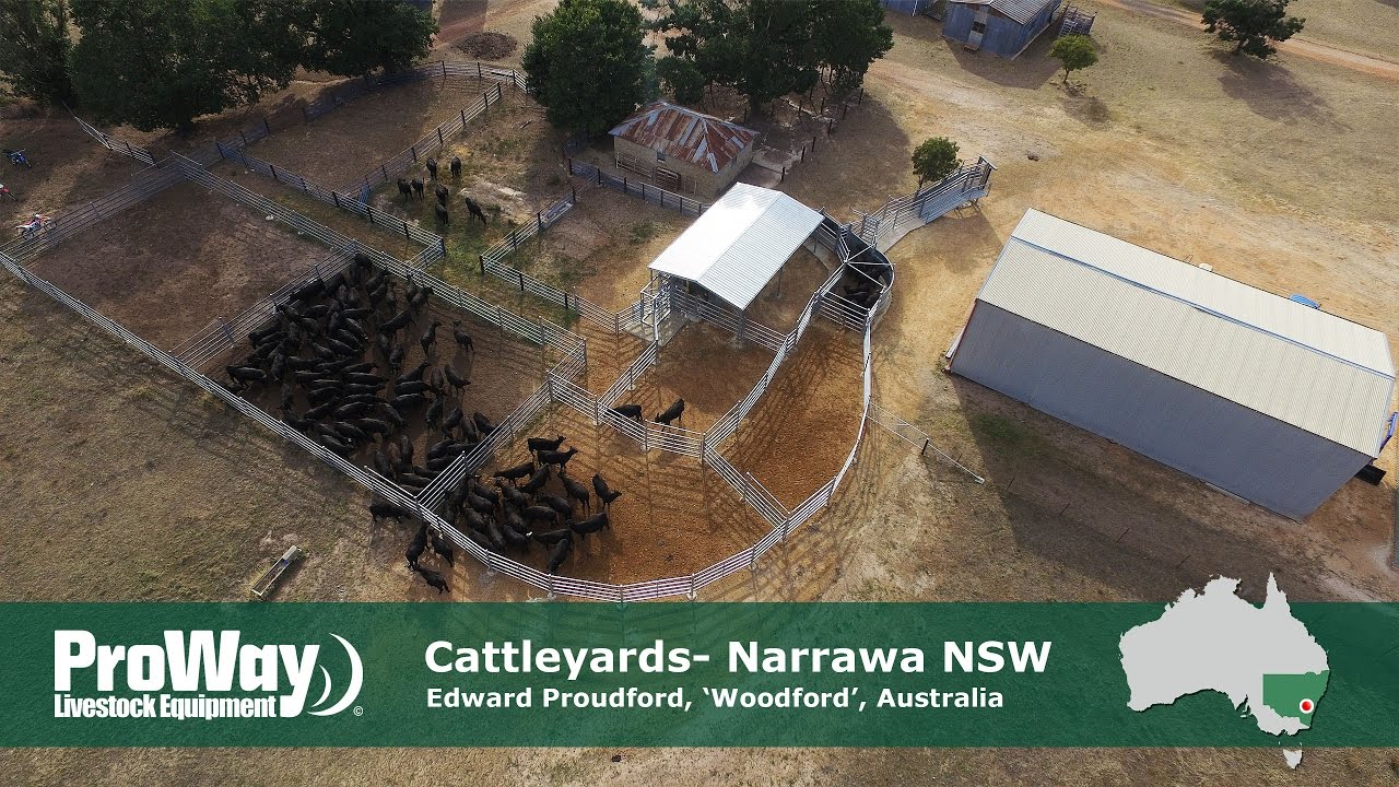 ProWay Cattleyards - Narrawa NSW